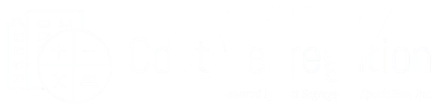 DIYCostSeg, LLC